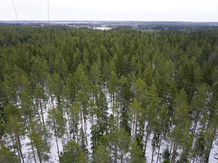 Norunda - view from the tower towards East